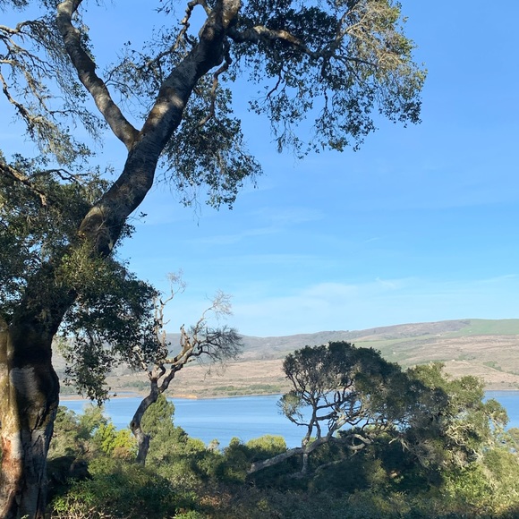 Meet your Posher, Sophie - Picture 1 of 1